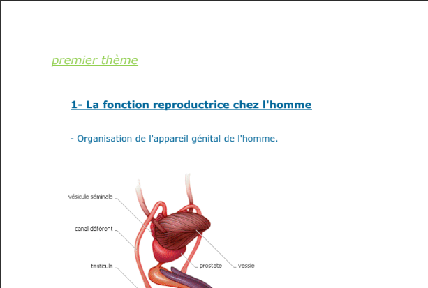 Cours SVT -La fonction reproductrice chez l'homme et la femme Bac Sciences exp (2010-2011)